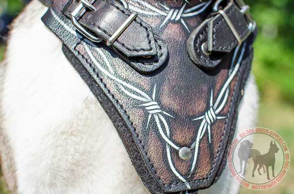 Chest plate on leather dog harness reliable gear