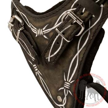 Chest plate felt padded beautiful design