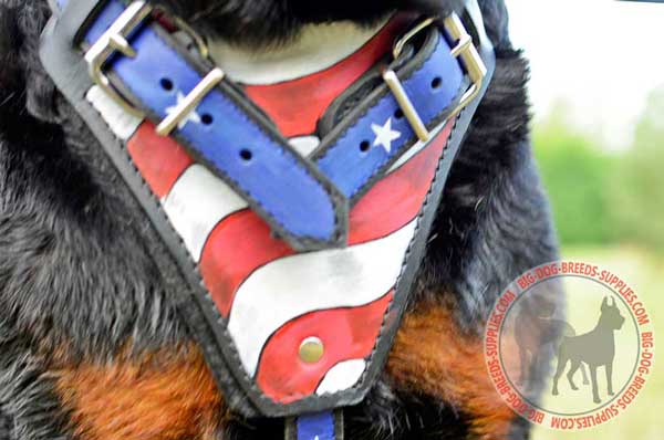 Handpainted chest plate with soft padding