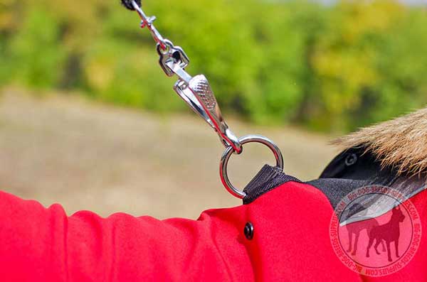 Leash attachment 

hole