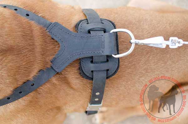 Silvery Ring to Connect the Lead