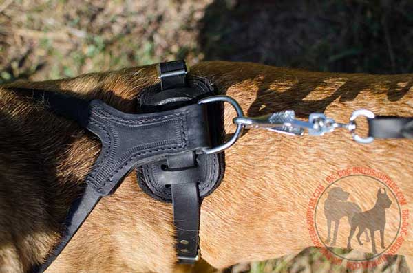 Felt Lined Back Plate with D-ring for Leash Connection