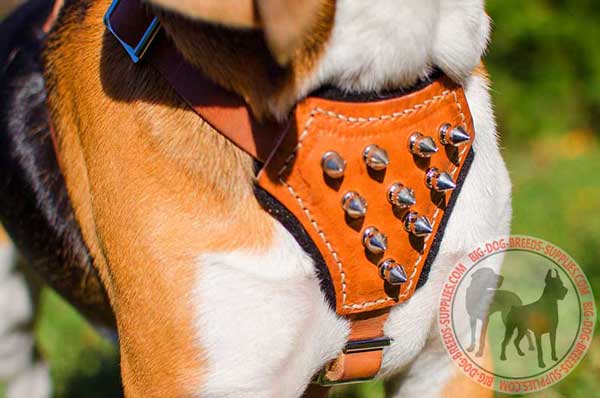 Spiked Chest Plate Made of Tan Leather