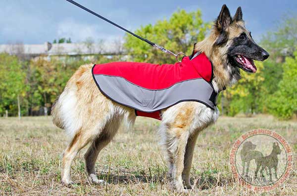 Tervuren 

warm winter dog coat