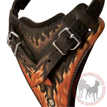 Broad chest plate padded for shock absorption