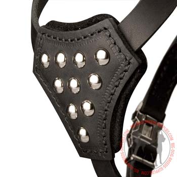 Nickel Studs Hanset on Snug Breast Plate