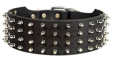 S99 - PRICE LEVEL 2 - 3 inch custom spiked collar