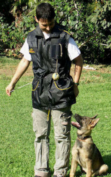 Nylon Dog Trainer Vest for Training your dog