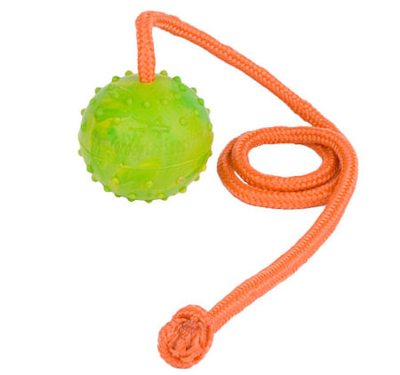 TT1 - PRICE LEVEL 2 - Solid Rubber Dog Training Ball on String
