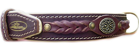 Best Padded Custom Dog Collar for Mastiffs - Royl Dog Collar