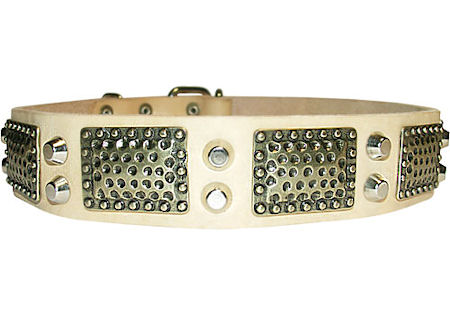 Mastiff white leather dog collar