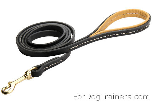 L4 - PRICE LEVEL 2 - Dog leash