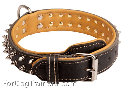 C444 - PRICE LEVEL 2 - Walking Nappa Leather Dog Collar with Spikes