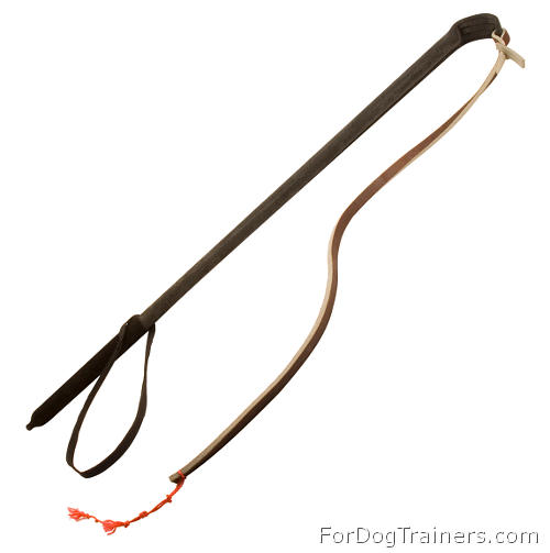 TE15 - PRICE LEVEL 2 - Agitation whip