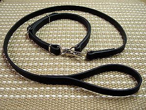 L19 - PRICE LEVEL 2 - Police / hunting" dog leash and collar (combo)