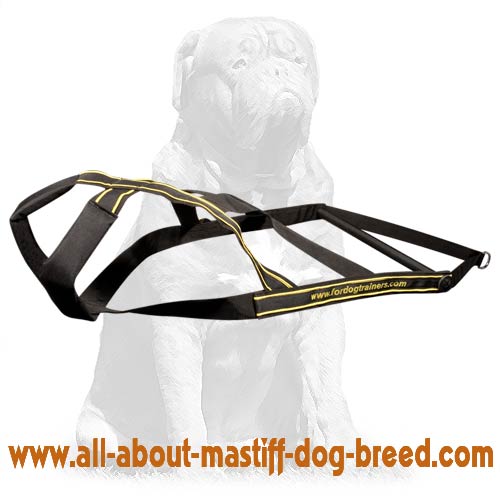 H19 - PRICE LEVEL 2 - Professional Pulling Dog Harness with Spreader Bar for Mastiff