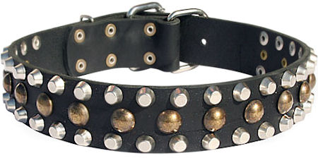 S56 - PRICE LEVEL 2 - Leather Dog Collar with Pyramids and Studs