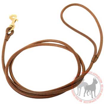 Elegant Narrow Leather Leash for Dog Shows