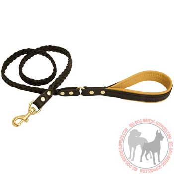 Leather Leash with Gprgeous Braid
