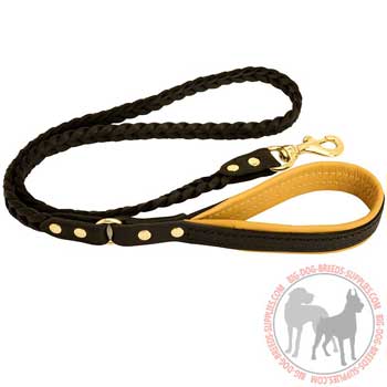 Training Leather Dog Leash