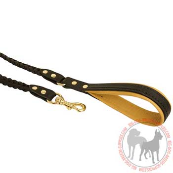 Leather Handle with Soft Padding