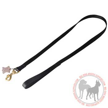 Nylon dog lead weatherproof, practical, strong