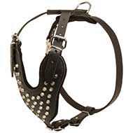 H16 - PRICE LEVEL 2 - Strong Leather Harness with Nickel Pyramids for Daily Walking