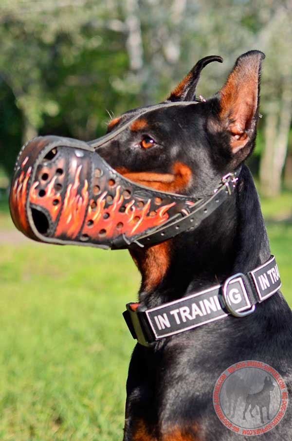 Leather Muzzle for Doberman Free Breathing