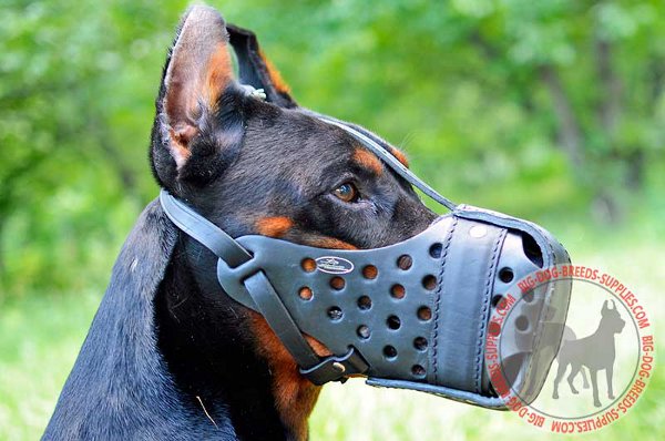 Leather muzzle for Dog attack training 