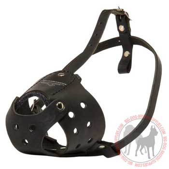 Dog leather muzzle for training