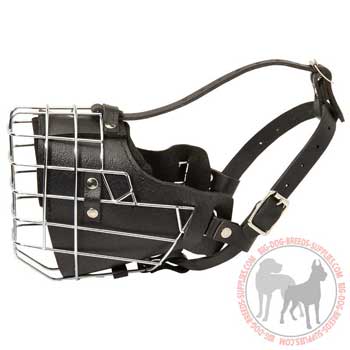 Leather dog muzzle with reliable straps