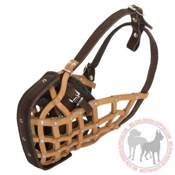 Leather dog muzzle for agitation training