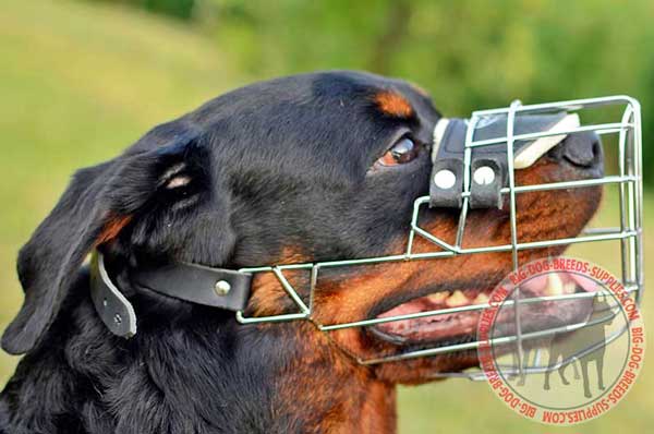 Adjustable Metal Cage Rottweiler Muzzle