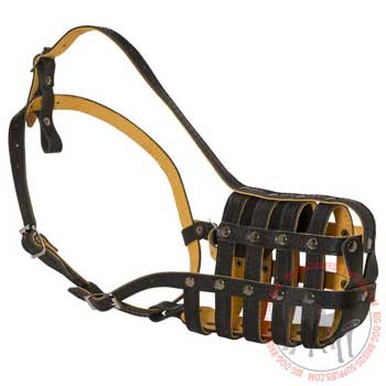 Leather basket muzzle for dog walking
