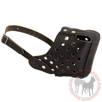 Leather dog muzzle for attack work