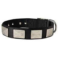 C274 - PRICE LEVEL 2 - All Weather Nylon Dog Collar With Vintage Massive Plates