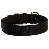 C40 - PRICE LEVEL 2 - Lightweight Adjustable 2 Ply Nylon Dog Collar