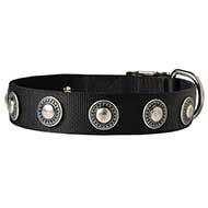C273 - PRICE LEVEL 2 - Conchos Decorated Wide Nylon Dog Collar for Walking