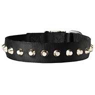 C275 - PRICE LEVEL 2 - Beautiful Wide Nylon Dog Collar With Nickel Pyramids