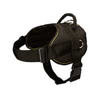 H6 - PRICE LEVEL 2 - All-Weather Nylon Dog Harness for Weight Pulling Activities